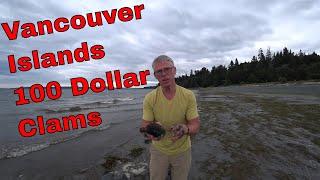 Vancouver Island 100 dollar Clams