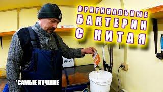 Теплая подстилка для свиней  ВОДОПРОВОД в свинарнике  Бактерии с Китая для Кур Свиней Уток ...