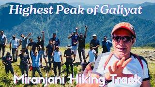 Highest Peak of Galiyat  Miranjani Hiking Track  Urdu  Hindi  Kifayat Rodani