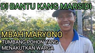 MBAH MARYONO BANTU TEBANGKAN KAYU YANG DEKAT DENGAN RUMAH WARGA TRANSMIGRASI