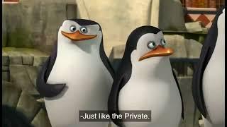 Penguins Of Madagascar - Privates British Accent