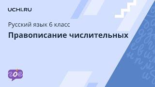 Русский язык 6 класс правописание числительных