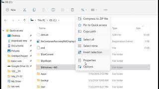 How to show hidden files in Windows 11