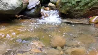 Gentle Stream Sounds For Sleeping & Relaxation No Birds - 2 Hours Video HD - Nature