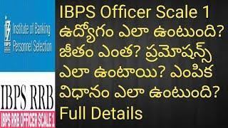 IBPS Officer Scale 1 JobWorkSalaryPramotions  RRB Officer scale 1 Job Profile