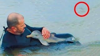 Man Saved a Little Dolphin Unaware of What Was Hiding in the Depths of the Sea