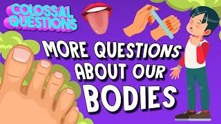 Why Our Bodies So Gross? And Fascinating  COLOSSAL QUESTIONS