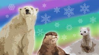 10 Arctic Animals for Kids – Snow Animals for Kids – Polar Animals