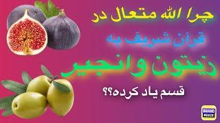 چرا الله متعال در قران به زیتون و انجیر قسم یاد کرده است.  #معلومات#لبخند#سویس#دنیا