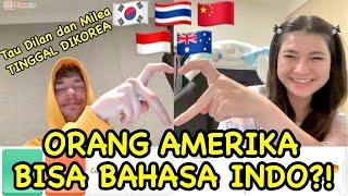 ORANG AMERIKA BISA BAHASA INDONESIA TINGGAL DI KOREA?  OmeTV 