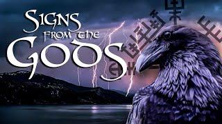 Norse Paganism  How to Interpret Signs from the Gods