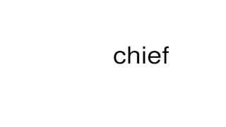 How to pronounce chief