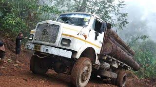 TATA 1212 TC 4x4 Timber Truck Overload Logging Wood Climbing on Muddy