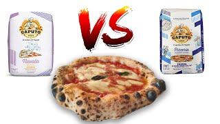 Caputo Nuvola VS Caputo Blu Pizzeria - who wins the alveolus challenge?