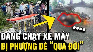 Đang chạy xe máy 2 người bị CÂY PHƯỢNG đè trúng khiến 1 người RA ĐI MÃI MÃI  Tin Nhanh 3 Phút