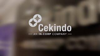 Cekindo Company Profile