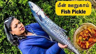 மீன் ஊறுகாய் Fish Pickle recipe  simple but deliciousFish cutting