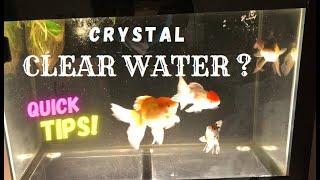 PAANO MAGING CRYSTAL CLEAR ANG TUBIG NG AQUARIUM MO QUICK TIPS..