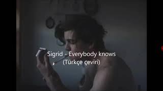 Everbody knows türkçe