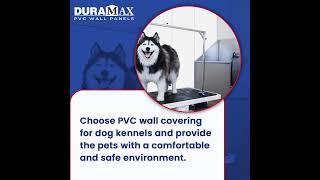 PVC Wall Covering for Dog Kennels Helps Maintain a Hygienic Environment