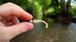 Catching WILD BROWN TROUT From A Tiny River Fox Rage Micro Fry