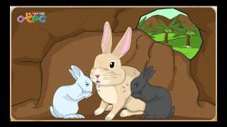 กระต่ายไม่ตื่นตูม - สื่อการเรียนการสอน ภาษาไทย ป.3