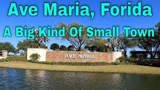 A Big Kind Of Small Town. Discover Ave Maria. Places To Go See Florida. Things To Do See 4K