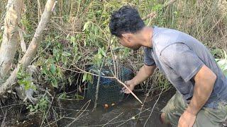 BANYAK YANG TIDAK PERCAYA.. KALAU HUTAN GAMBUT SEPERTI INI JADI SARANG LEMBAT MONSTER