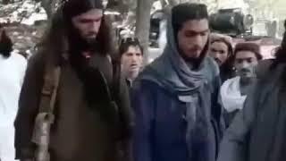 از این کرده بی سواد تر مردم  تا حالا دیده ئید