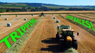 Silage Baling Massive Triticale Crop