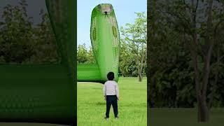 Green anaconda  snake video  green cobra #viral