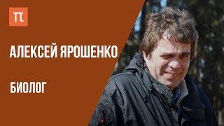 Что я знаю — ЭКОЛОГИЯ ЛЕСОВ  Биолог Алексей Ярошенко на ПостНауке