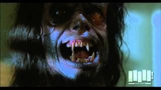 Werewolf transformation - The Howling 1981