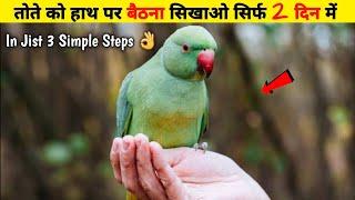 How to Tame Your Parrot Easily  HINDI