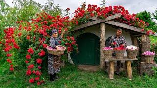  Traditional Rose Jam Homemade Recipe from Fresh Roses