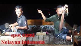 MANCING CUMI MALAM HARI DI LAUT  DALAM  panen strike#fishingsquid