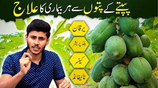 Papaya Leaf Juice Benefits For all Disease In Urdu  پپیتے کے پتوں سے ہر بیماری کا علاج