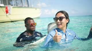 Best Stingray City Tours In The Cayman Islands  Captain Marvins