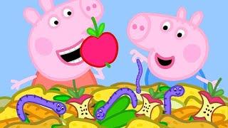 Peppa Pig en Español El Misterio  Episodios completos  Pepa la cerdita