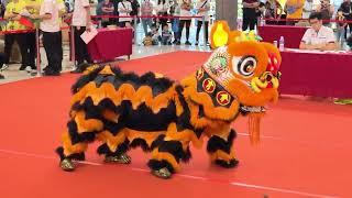 马来西亚传统舞狮锦标赛 首届梳邦杯之狮战辉煌-儿童组 1st Subang Cup Traditional Lion Dance kids  吉隆坡東勝 KL Dong Sheng