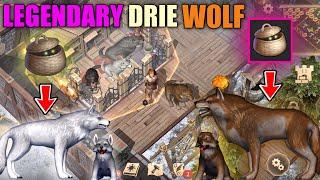 Grim Soul Survival Legendary Dire Wolf Lvl -10  Got through dark offering