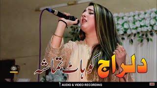 Dil Raj  New Song 2024  Pashto New Songs  Dil Raj Official Kohat Tamsha Video