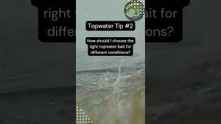 Topwater Bass Fishing The Ultimate Guide for More Action #shorts #fishing
