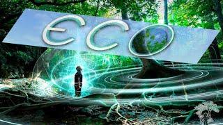 Похмелье игра Eco и практика Аяуаска