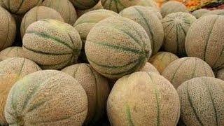 What does this 14 pound bag of melons mean for gamers?