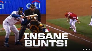 Incredible MLB bunts 9 minutes of insanely satisfying bunts