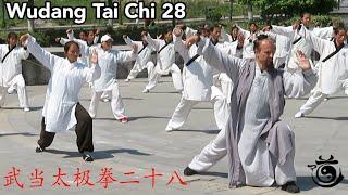 Wudang Tai Chi 28 Group Performance - Wudang Taiji 28 - 武当太极拳二十八