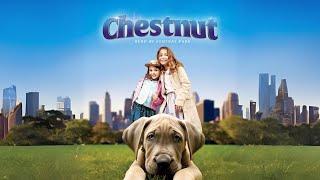CHESTNUT THE HERO OF CENTRAL PARK - Official Movie