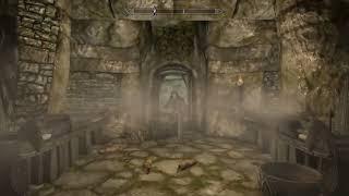 You fool you dont stand a chance. but the Dragonborn is voiced Skyrim SE