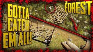 How to Catch Rabbits & Use the Animal Trap  The Forest